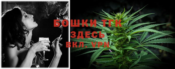 МДПВ Осташков