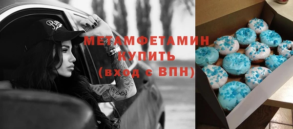 прущие грибы Вязники