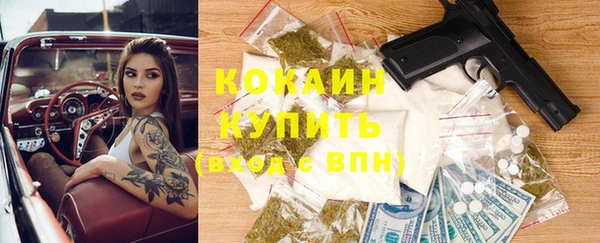 прущая мука Няндома