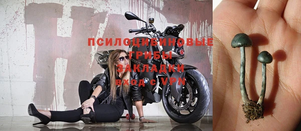 МДПВ Осташков
