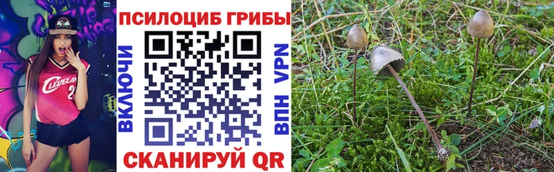 Галлюциногенные грибы мицелий Андреаполь